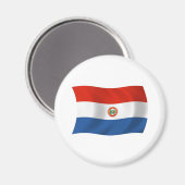 Paraguay Flag Magnet (Vorderseite/Rückseite)
