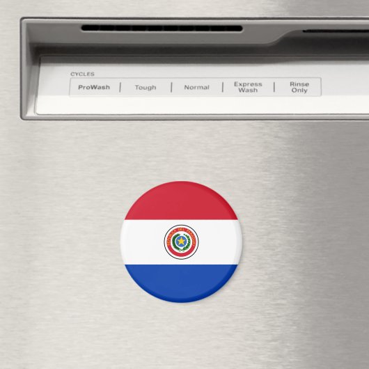 Paraguay Flag Magnet (In Situ (Geschirrspüler))