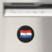 Paraguay Flag Magnet (In Situ (Geschirrspüler))