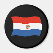 Paraguay Flag Magnet (Vorne)