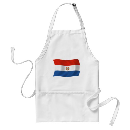 Paraguay Flag Schürze (Vorne)