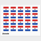 Paraguay Flag Sticker (Blatt)