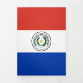 Paraguay-Flagge Dreifach Gefaltete Karte (Cover)