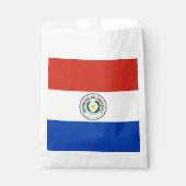 Paraguay-Flagge Geschenktütchen (Vorderseite)