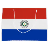 Paraguay-Flagge Große Geschenktüte (Vorderseite)