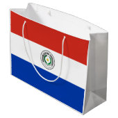 Paraguay-Flagge Große Geschenktüte (Rückseite Schrägansicht)