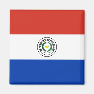 Paraguay-Flagge Magnet