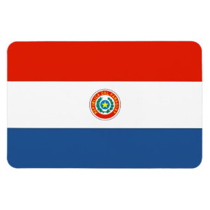 Paraguay-Flagge Magnet
