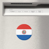 Paraguay-Flagge Magnet (In Situ (Geschirrspüler))