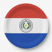 Paraguay-Flagge Pappteller (Vorderseite)