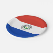 Paraguay-Flagge Pappteller (Schrägansicht)