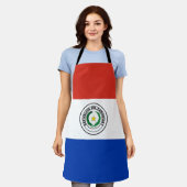 Paraguay-Flagge Schürze (Getragen)
