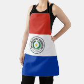 Paraguay-Flagge Schürze (InSitu)
