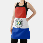 Paraguay-Flagge Schürze (InSitu)