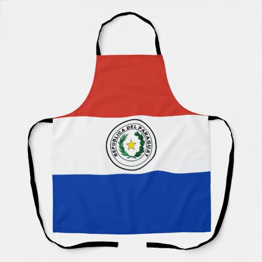 Paraguay-Flagge Schürze (Vorderseite)