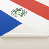 Paraguay-Flagge Sherpadecke (3/4)