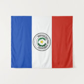Paraguay-Flagge Wandteppich (Vorderseite (Horizontal))