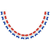 Paraguay-Flagge Wimpelkette (Alle)