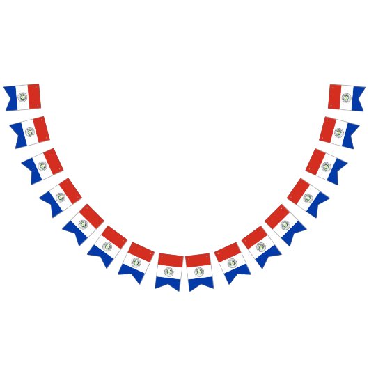 Paraguay-Flagge Wimpelkette (Alle)