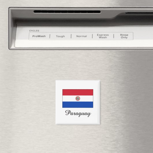 Paraguay-Flaggendesign Magnet (In Situ (Geschirrspüler))