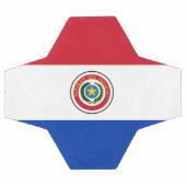 Paraguay Fußball (Flach)