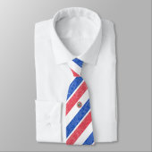 Paraguay Krawatte (Gebunden)