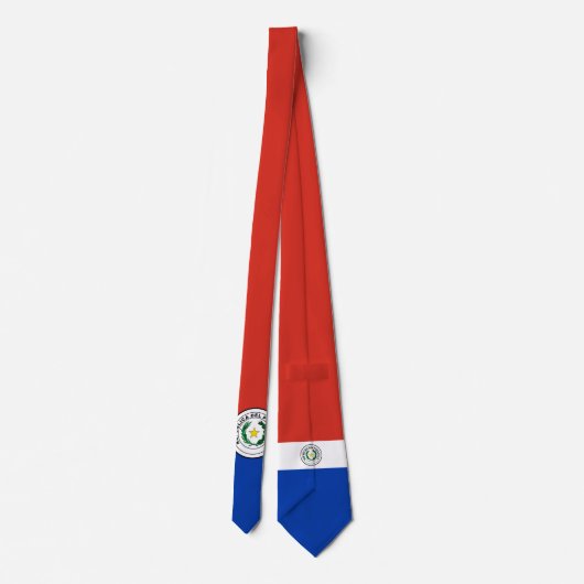 Paraguay Krawatte (Rückseite)