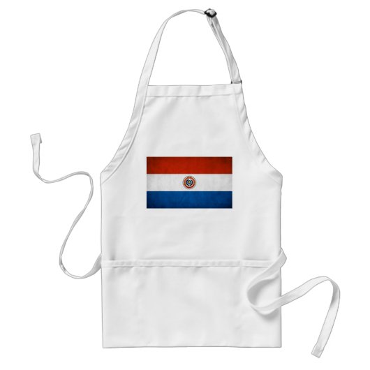Paraguay-Nationalflagge Schürze (Vorne)