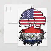 Paraguay Paraguayan American USA Tree Roots Flag Postkarte (Vorne/Hinten)