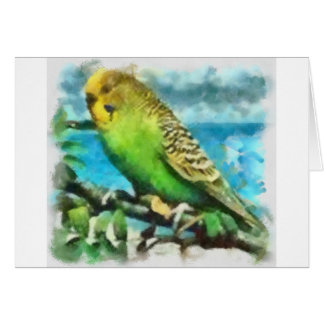 Parakeet auf der Insel