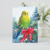 Parakeet auf Kiefernzweig und Weihnachtsfeiertage Dankeskarte (Stehend Vorderseite)