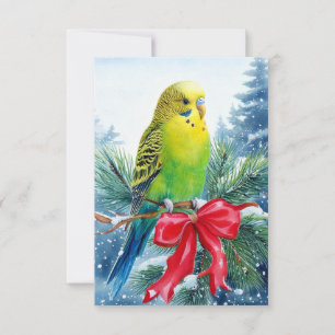 Parakeet auf Kiefernzweig und Weihnachtsfeiertage Dankeskarte