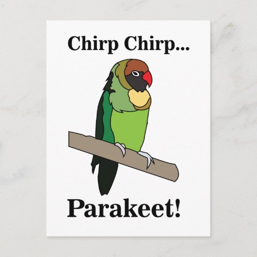 Parakeet Bird Postkarte (Vorderseite)