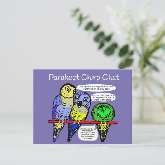 Parakeet Chirp und Talk ist billige Postkarte (Stehend Vorderseite)