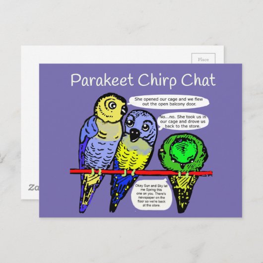 Parakeet Chirp und Talk ist billige Postkarte (Vorne/Hinten)