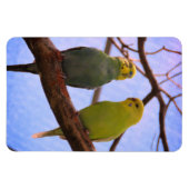 Parakeet Couple Magnet (Horizontal)