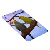 Parakeet Couple Magnet (Rechte Seite)