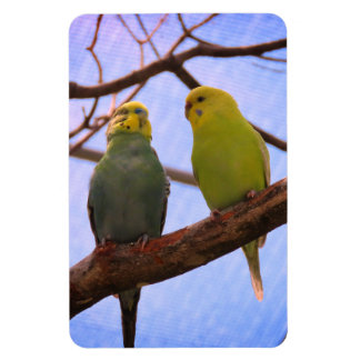Parakeet Couple Magnet
