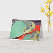 Parakeet, der im Spiegel schaut Karte (Gelbe Blume)