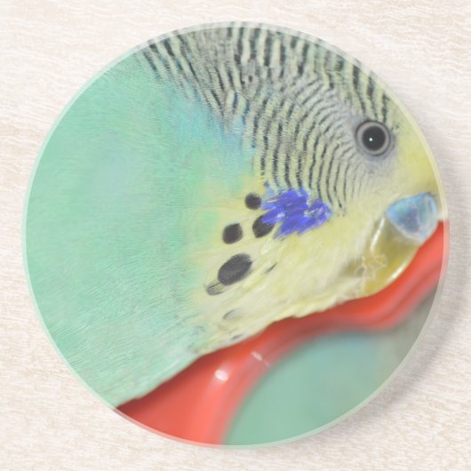 Parakeet, der im Spiegel schaut Untersetzer (Vorne)