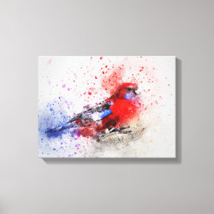 Parakeet Leinwanddruck