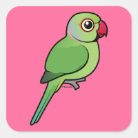 Parakeet mit Rose