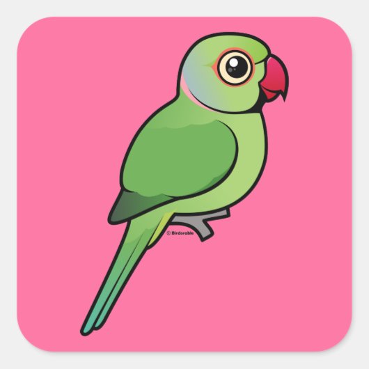 Parakeet mit Rose Quadratischer Aufkleber (Vorderseite)