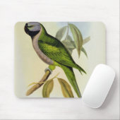 Parakeet: Palaeornis Derbianus, c.1850 Mousepad (Mit Mouse)
