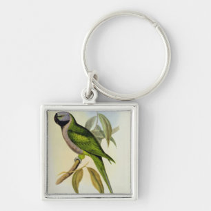 Parakeet: Palaeornis Derbianus, c.1850 Schlüsselanhänger