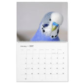 Parakeet Palooza Kalender (Jan 2027)