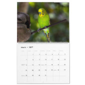 Parakeet Palooza Kalender (Mär 2027)