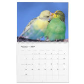 Parakeet Palooza Kalender (Feb 2027)