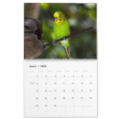 Parakeet Palooza Kalender (Mär 2026)
