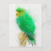 Parakeet-Portrait Postkarte (Vorderseite)